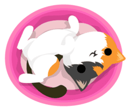 why ? cats. Why is your name "WHY"? sticker #3545163