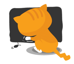 why ? cats. Why is your name "WHY"? sticker #3545164