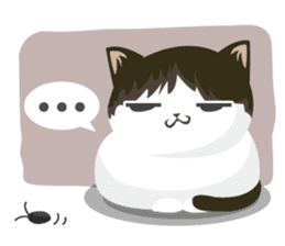 why ? cats. Why is your name "WHY"? sticker #3545165