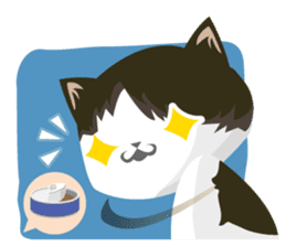 why ? cats. Why is your name "WHY"? sticker #3545168