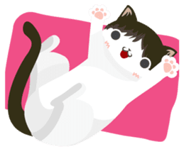 why ? cats. Why is your name "WHY"? sticker #3545183