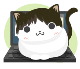 why ? cats. Why is your name "WHY"? sticker #3545185