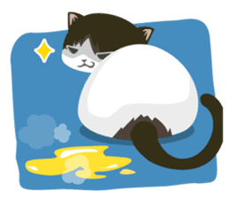 why ? cats. Why is your name "WHY"? sticker #3545187