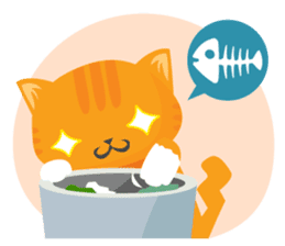 why ? cats. Why is your name "WHY"? sticker #3545192