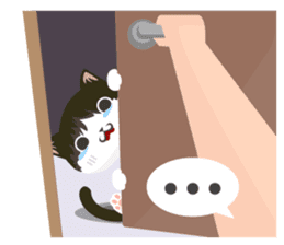 why ? cats. Why is your name "WHY"? sticker #3545193