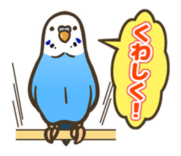 Budgerigars3 sticker #3546280