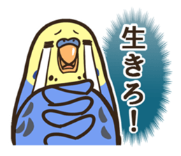 Budgerigars3 sticker #3546290