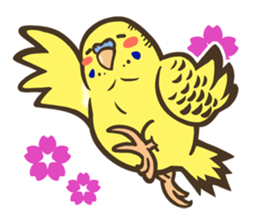 Budgerigars3 sticker #3546296