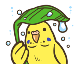 Budgerigars3 sticker #3546311