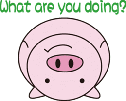 pig story sticker #3549883