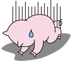 pig story sticker #3549885