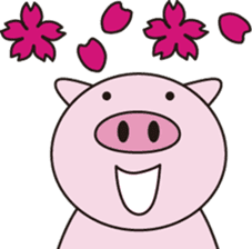 pig story sticker #3549904