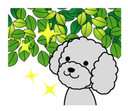 Seasonal toy poodle sticker #3551042