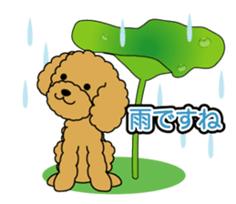 Seasonal toy poodle sticker #3551046