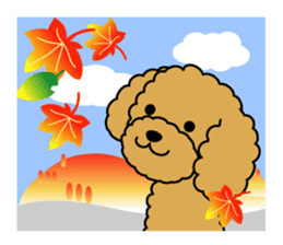 Seasonal toy poodle sticker #3551059