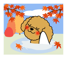 Seasonal toy poodle sticker #3551061