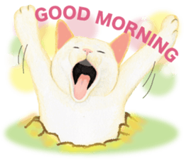 Mole cat sticker #3551955