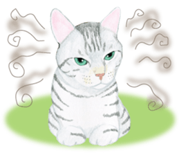 Mole cat sticker #3551981