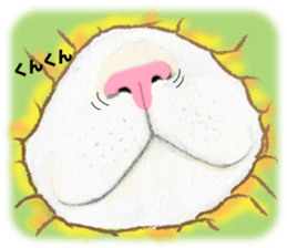 Mole cat sticker #3551986