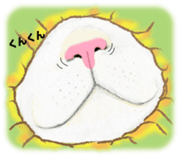 Mole cat sticker #3551986