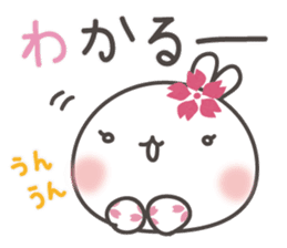 sakura the rabbit japanese sticker #3552334