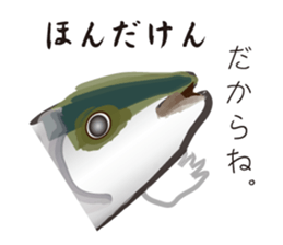 Yellowtail of the Sanuki dialect sticker #3552354