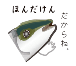 Yellowtail of the Sanuki dialect sticker #3552354