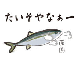 Yellowtail of the Sanuki dialect sticker #3552358