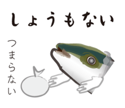 Yellowtail of the Sanuki dialect sticker #3552362