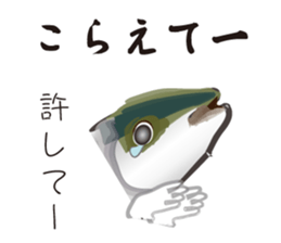 Yellowtail of the Sanuki dialect sticker #3552363