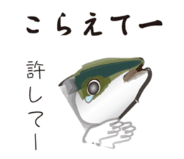Yellowtail of the Sanuki dialect sticker #3552363