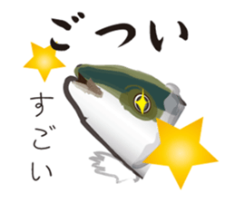 Yellowtail of the Sanuki dialect sticker #3552364