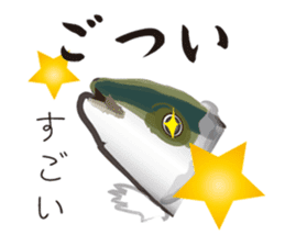 Yellowtail of the Sanuki dialect sticker #3552364