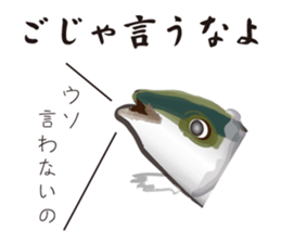 Yellowtail of the Sanuki dialect sticker #3552365
