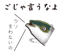 Yellowtail of the Sanuki dialect sticker #3552365