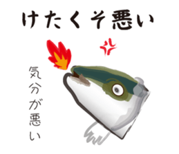 Yellowtail of the Sanuki dialect sticker #3552366