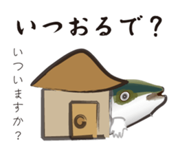 Yellowtail of the Sanuki dialect sticker #3552368