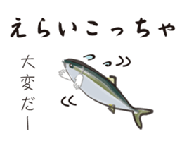 Yellowtail of the Sanuki dialect sticker #3552369