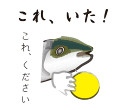 Yellowtail of the Sanuki dialect sticker #3552371
