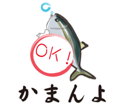 Yellowtail of the Sanuki dialect sticker #3552373