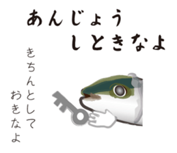 Yellowtail of the Sanuki dialect sticker #3552375