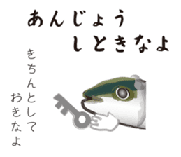 Yellowtail of the Sanuki dialect sticker #3552375