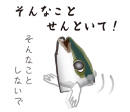 Yellowtail of the Sanuki dialect sticker #3552378