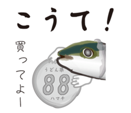 Yellowtail of the Sanuki dialect sticker #3552380