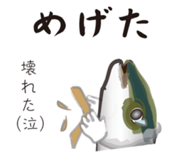 Yellowtail of the Sanuki dialect sticker #3552381