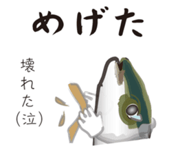 Yellowtail of the Sanuki dialect sticker #3552381