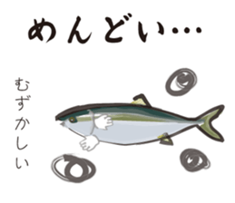 Yellowtail of the Sanuki dialect sticker #3552382