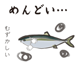 Yellowtail of the Sanuki dialect sticker #3552382