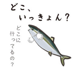 Yellowtail of the Sanuki dialect sticker #3552384