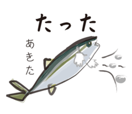 Yellowtail of the Sanuki dialect sticker #3552387